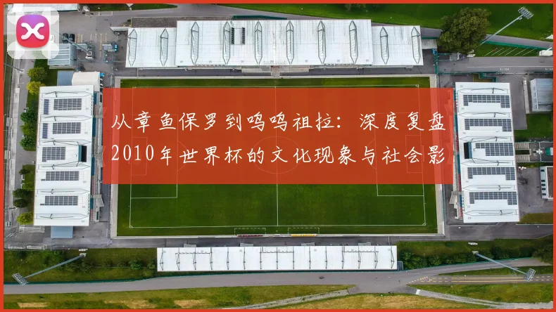 从章鱼保罗到呜呜祖拉：深度复盘2010年世界杯的文化现象与社会影响