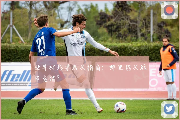 世界杯彩票购买指南:哪里能买冠军竞猜?