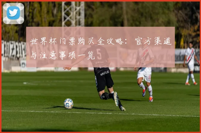 世界杯门票购买全攻略:官方渠道与注意事项一览