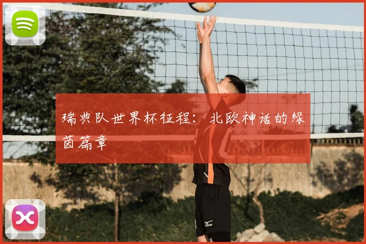 瑞典队世界杯征程：北欧神话的绿茵篇章