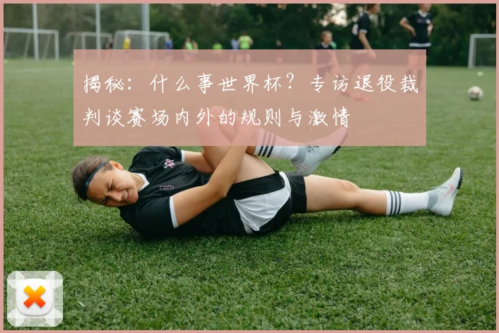 揭秘:什么事世界杯?专访退役裁判谈赛场内外的规则与激情