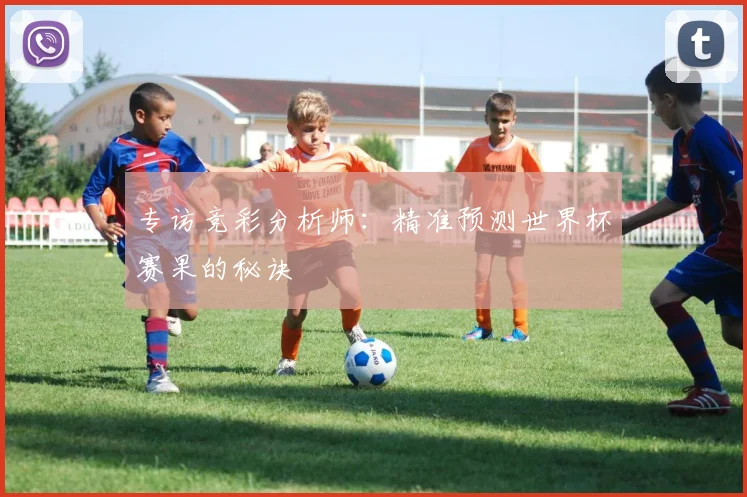 专访竞彩分析师：精准预测世界杯赛果的秘诀