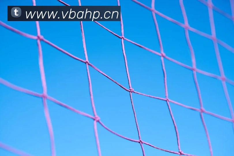 乐鱼体育手机官网入口平台生态图