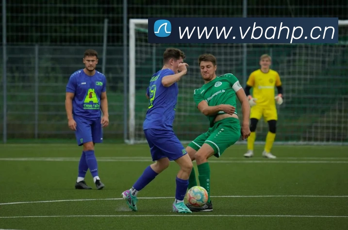 乐鱼体育手机官网入口APP 封面图